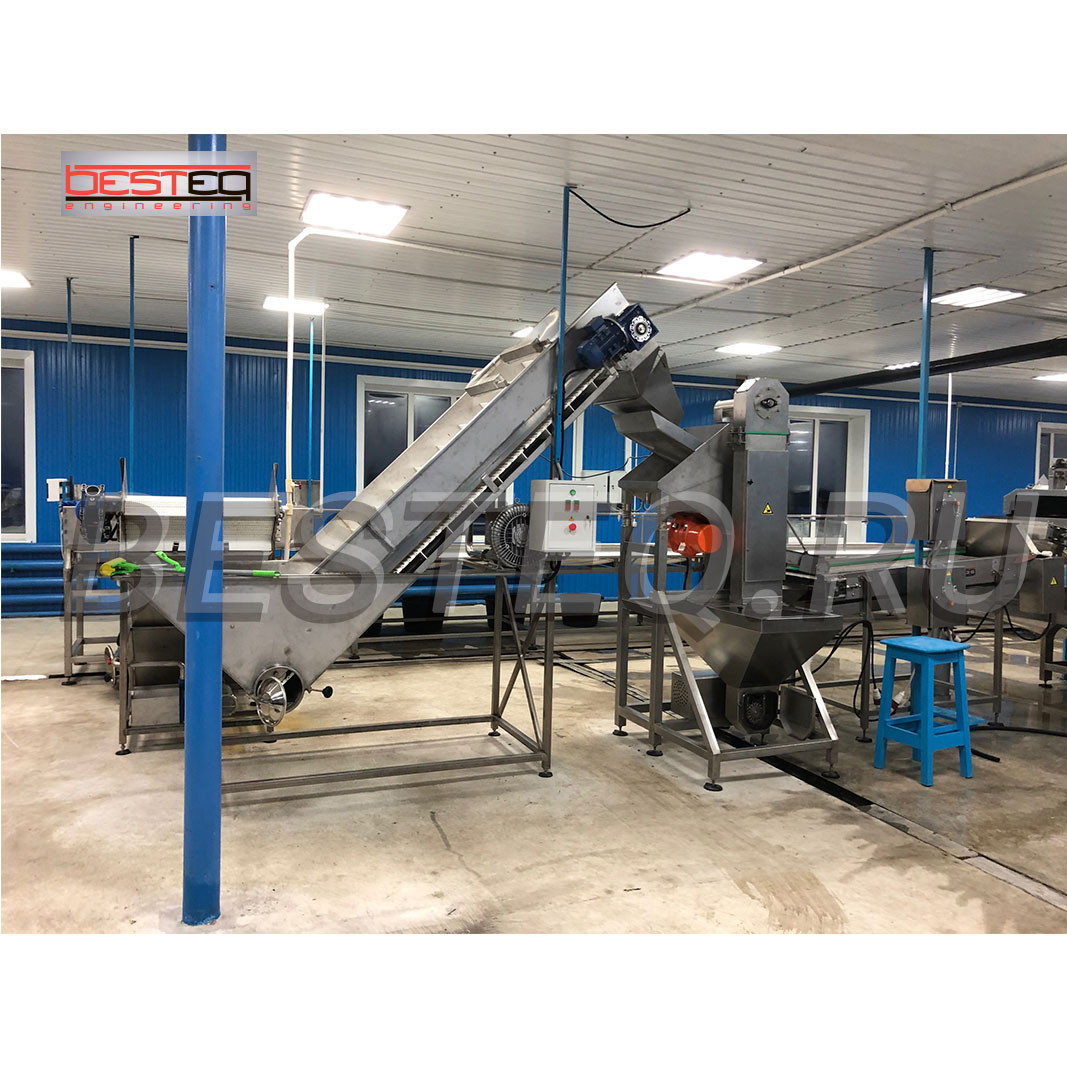 Линия производства рыбных консервов (обжаренная рыба в заливке) BESTEQ-FCL-9000 бан/смена от производителя — купить с доставкой по России и СНГ