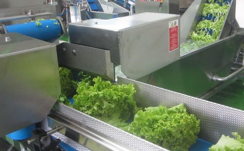 Машина для нарезки моркови полосками заказать в России | ООО БЕСТЕК-Инжиниринг