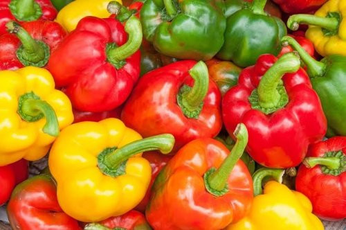 Машина для нарезки моркови полосками заказать в России | ООО БЕСТЕК-Инжиниринг
