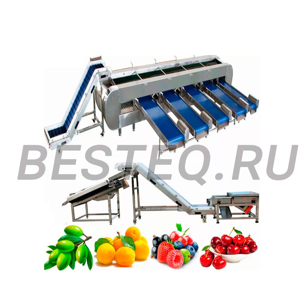Линия сортировки овощей и фруктов (с мойкой)