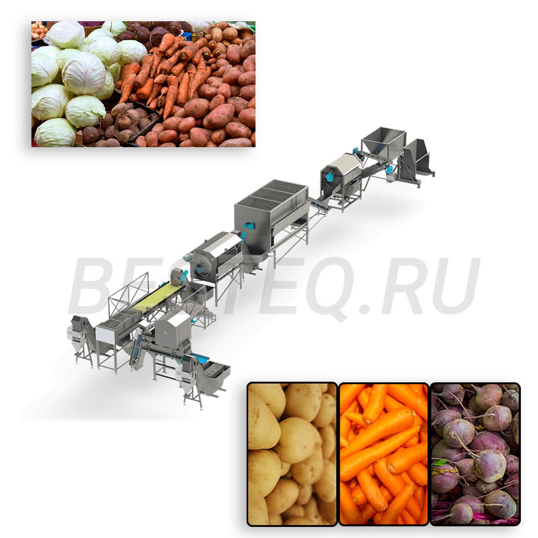 Линия для переработки корнеплодов