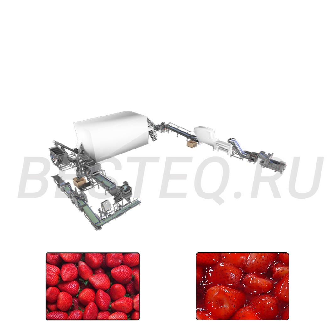 Линия переработки клубники